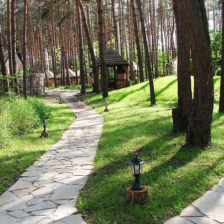 Hotel Pershyi Kordon Tourist Complex à Medvedevka Extérieur photo
