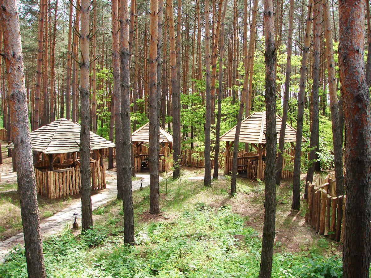 Hotel Pershyi Kordon Tourist Complex à Medvedevka Extérieur photo