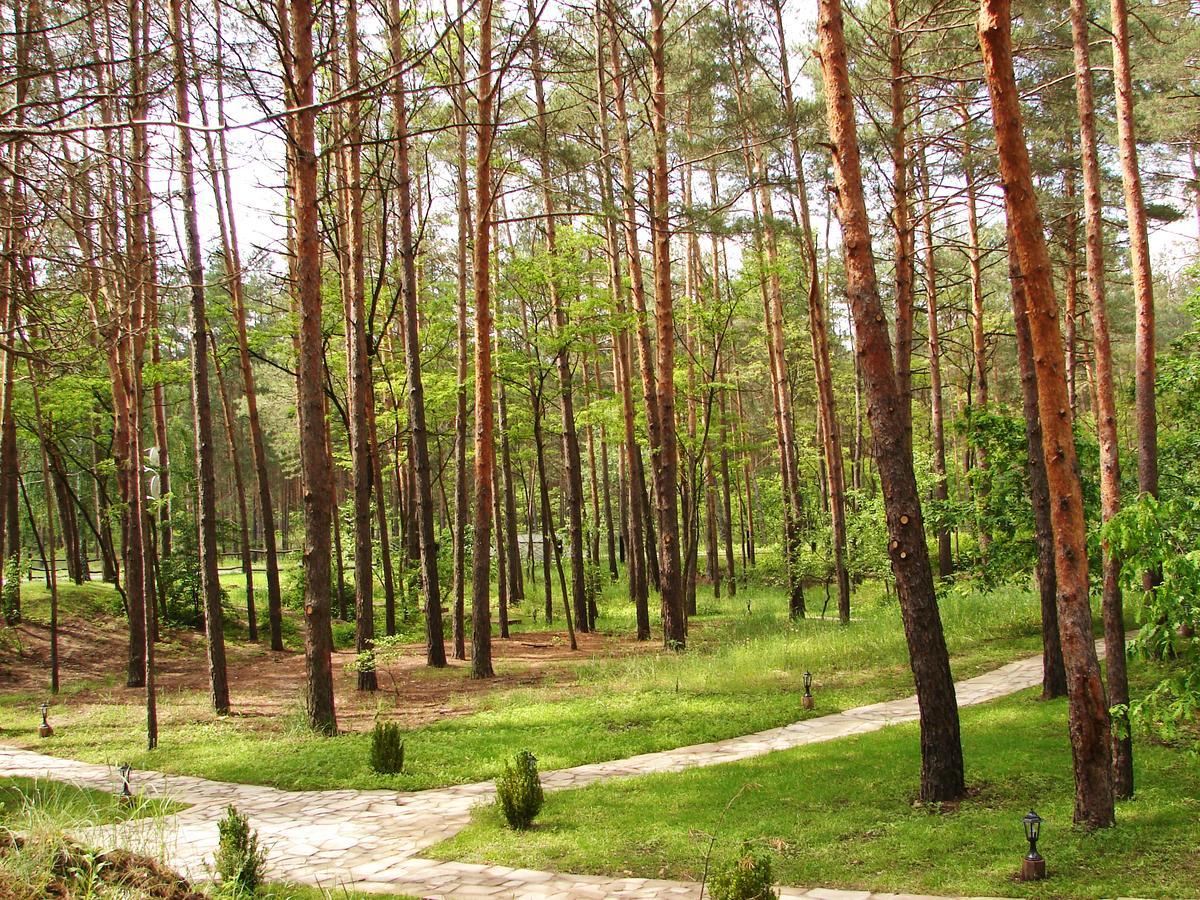 Hotel Pershyi Kordon Tourist Complex à Medvedevka Extérieur photo